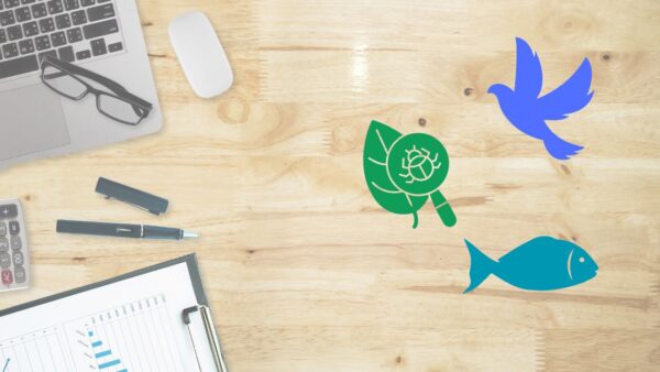 鳥の目、虫の目、魚の目