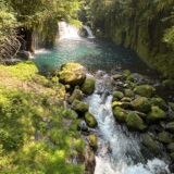 この夏の「水」の話