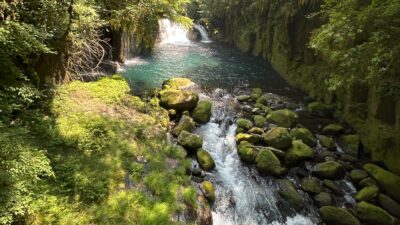 この夏の「水」の話