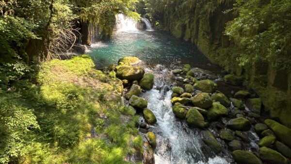 この夏の「水」の話